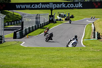 cadwell-no-limits-trackday;cadwell-park;cadwell-park-photographs;cadwell-trackday-photographs;enduro-digital-images;event-digital-images;eventdigitalimages;no-limits-trackdays;peter-wileman-photography;racing-digital-images;trackday-digital-images;trackday-photos